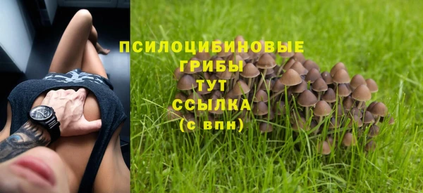 молекула духа Абаза