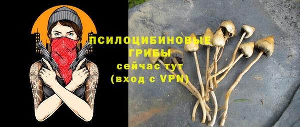сатива Абдулино